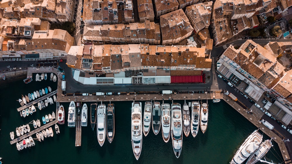 aerial white cruise ship on docking