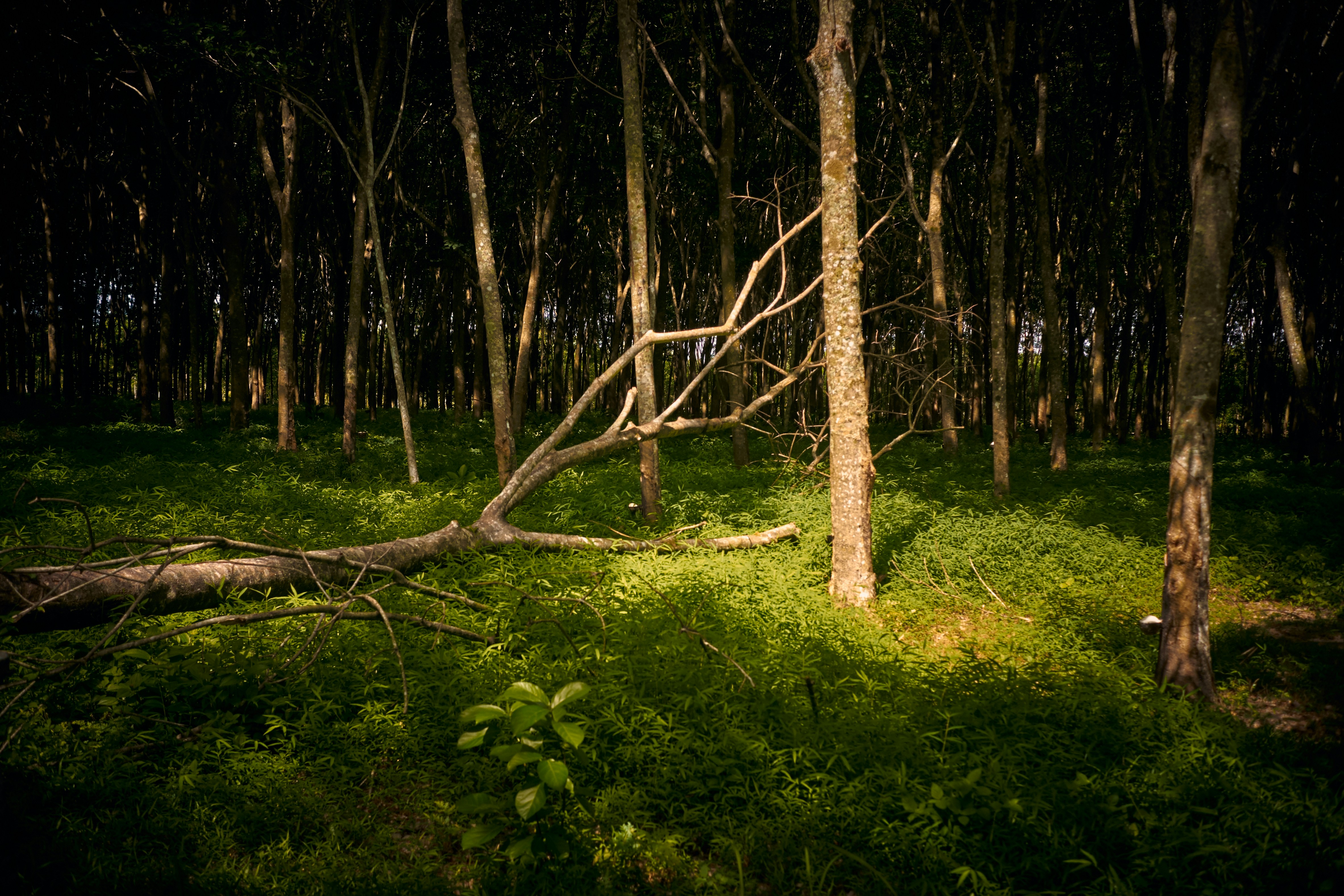 Photo by setsj