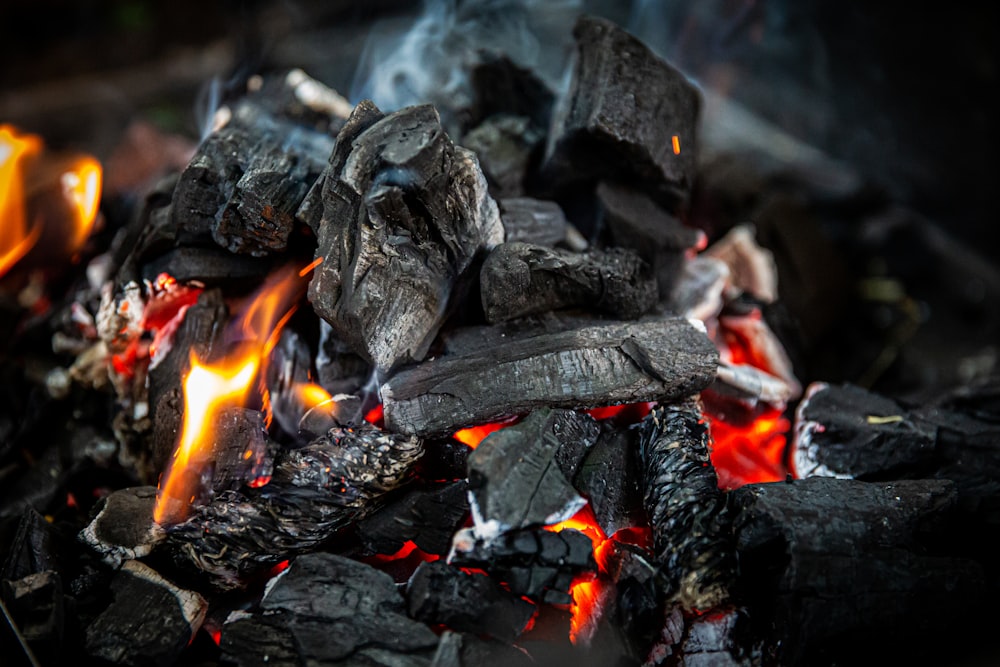 selective focus photo of charcoal