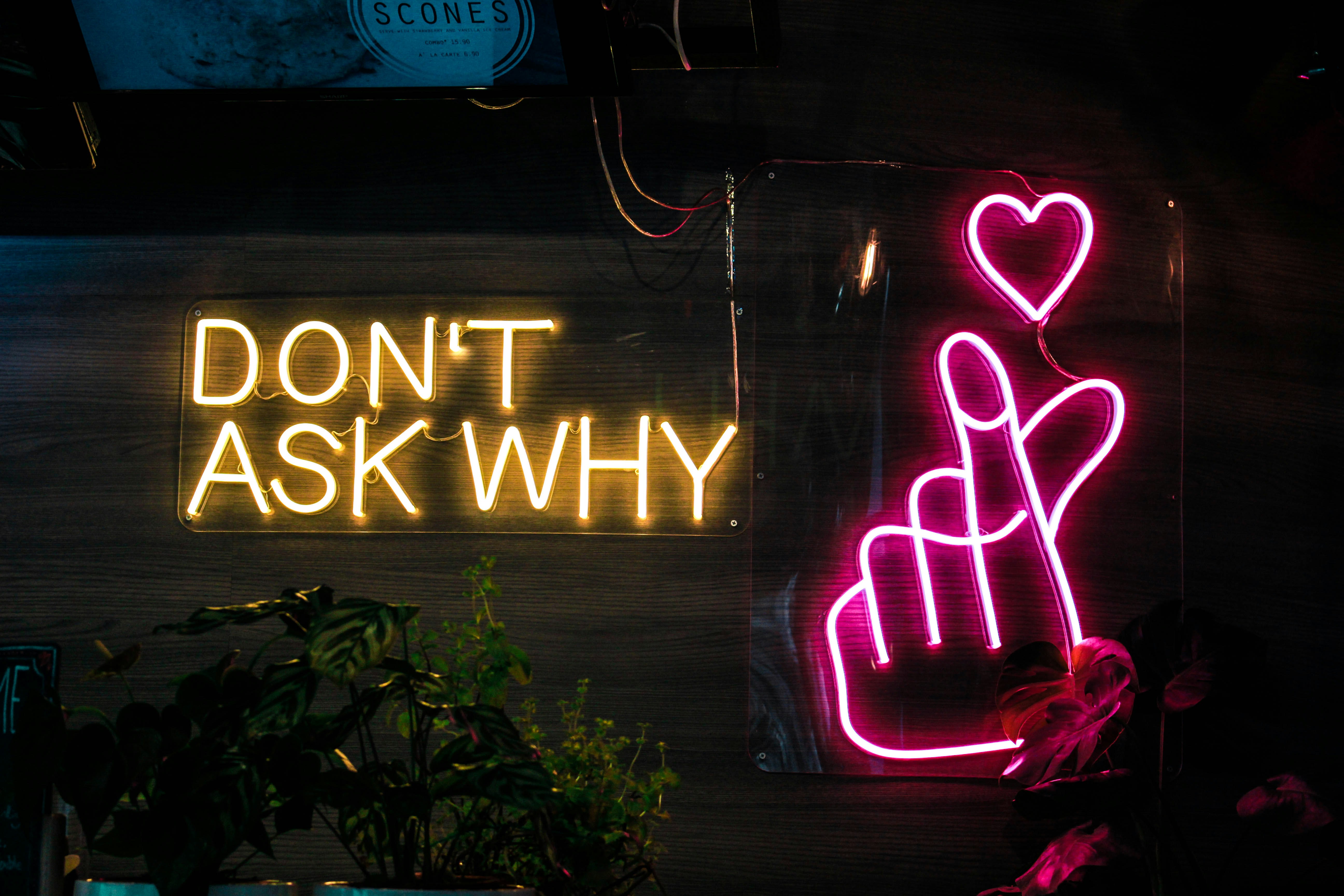 ¿Qué preguntas debo hacer antes de adoptar Business Intelligence?