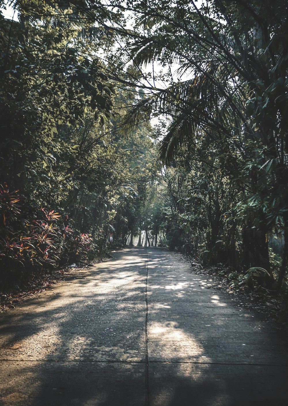 empty road during daytime