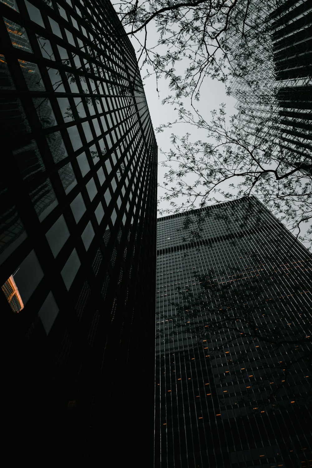 low angle photography of high rise building