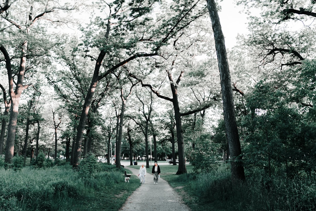 two person walking in pathway during daytime