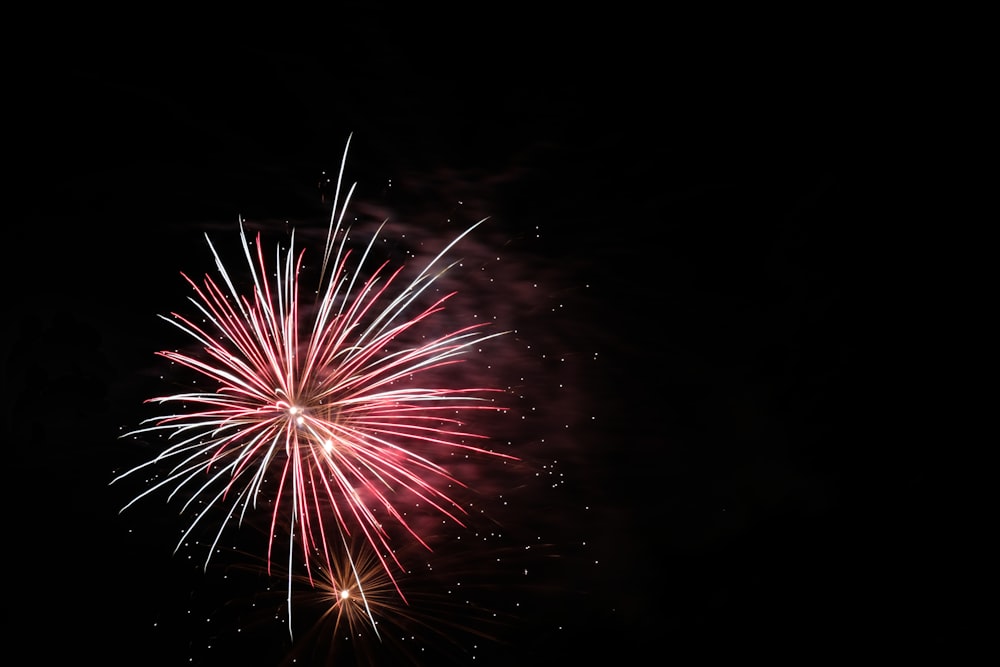 pink firework display