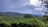 A lush, green landscape with rolling hills covered in tea plantations. In the distance, there are mountains under a cloudy sky. Trees are scattered across the terrain, contributing to the vibrant and tranquil scenery.