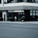 A person is standing on the sidewalk holding a leash with a dog near a modern building. The setting appears urban, with pot plants and a sign displaying 'NORTHDRIVE' above a storefront or entrance.