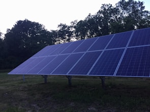 A large array of solar panels is installed outdoors with a backdrop of trees. The sky appears to be overcast, and the panels are set on a grassy environment. The structure supporting the panels is clearly visible.