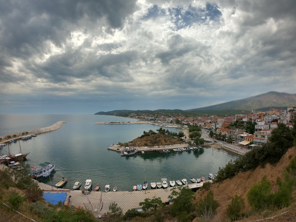 houses near ocean