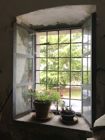 white framed glass window
