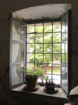 white framed glass window
