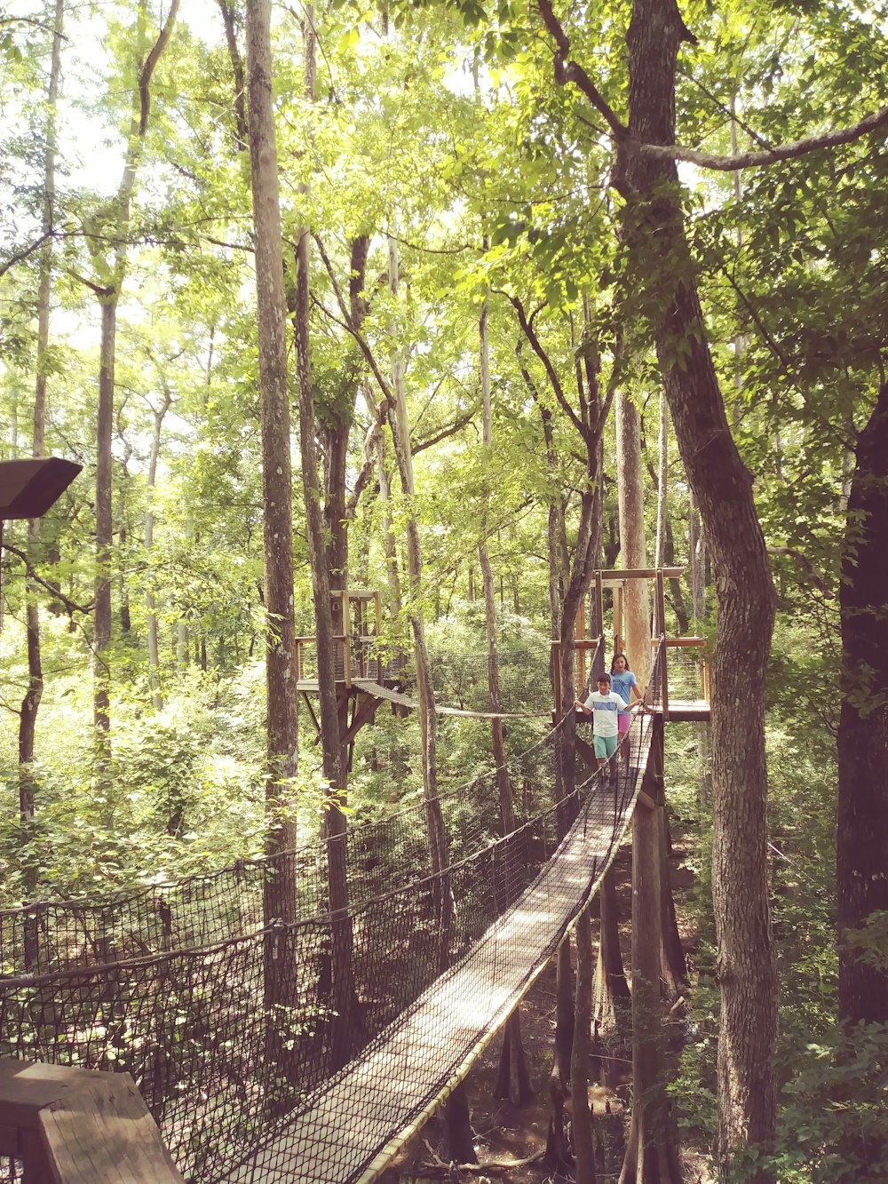 two person crossing on hanging bridge