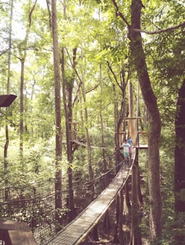 two person crossing on hanging bridge