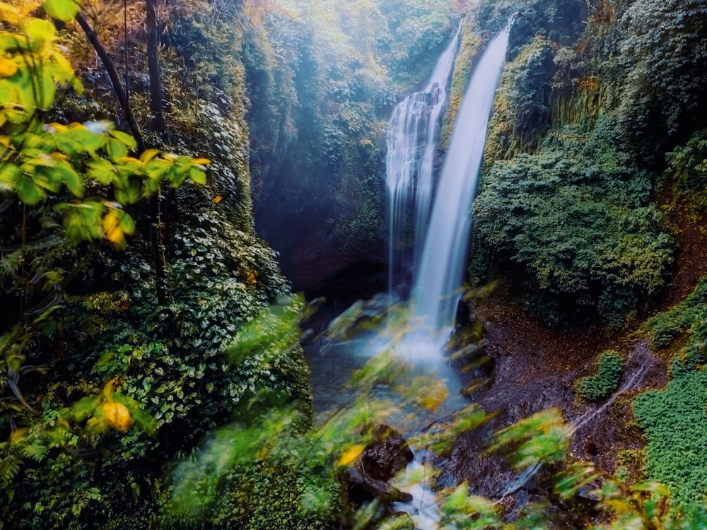 waterfalls surrounded by plants and trees