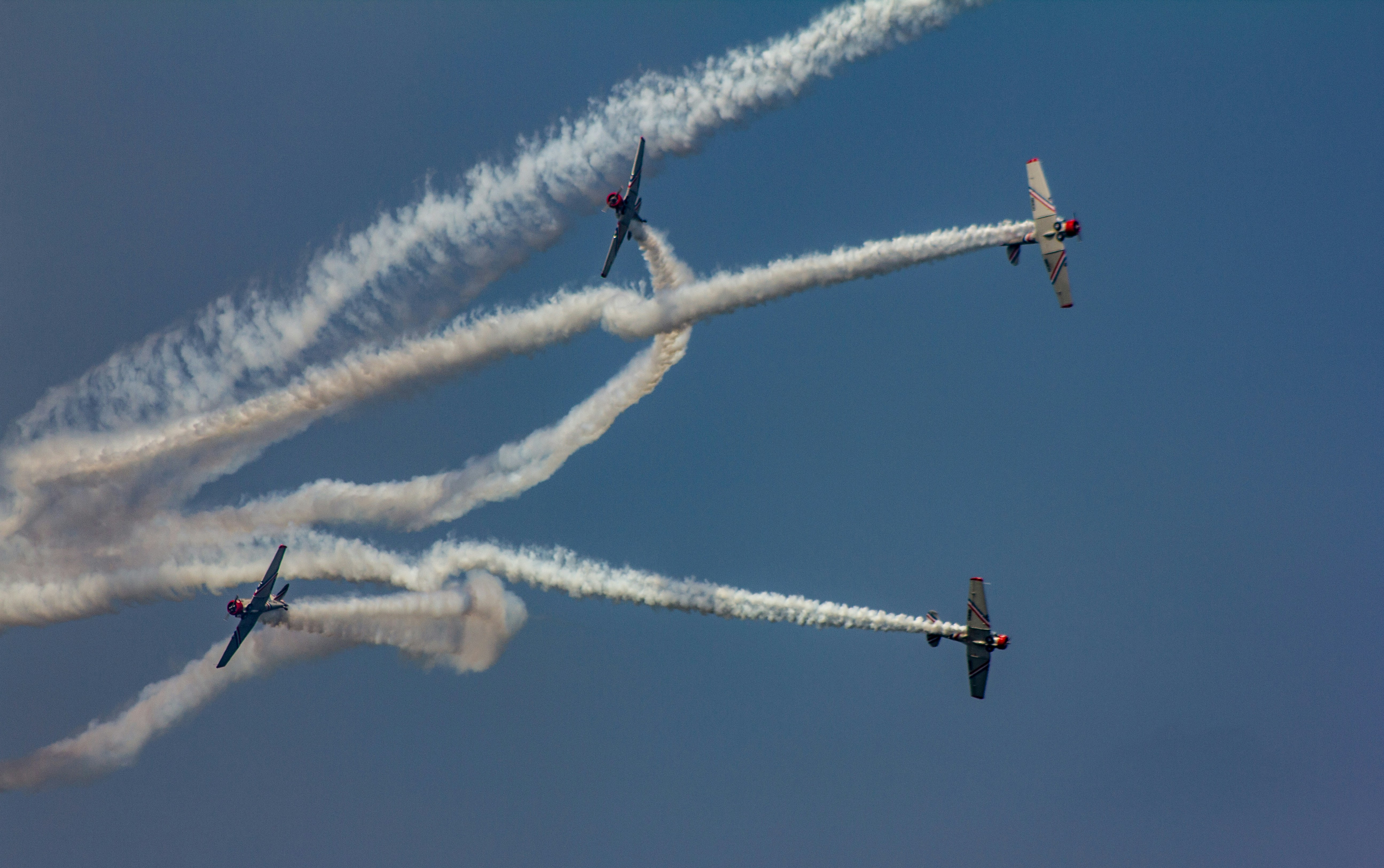 Photo by chakravarthi