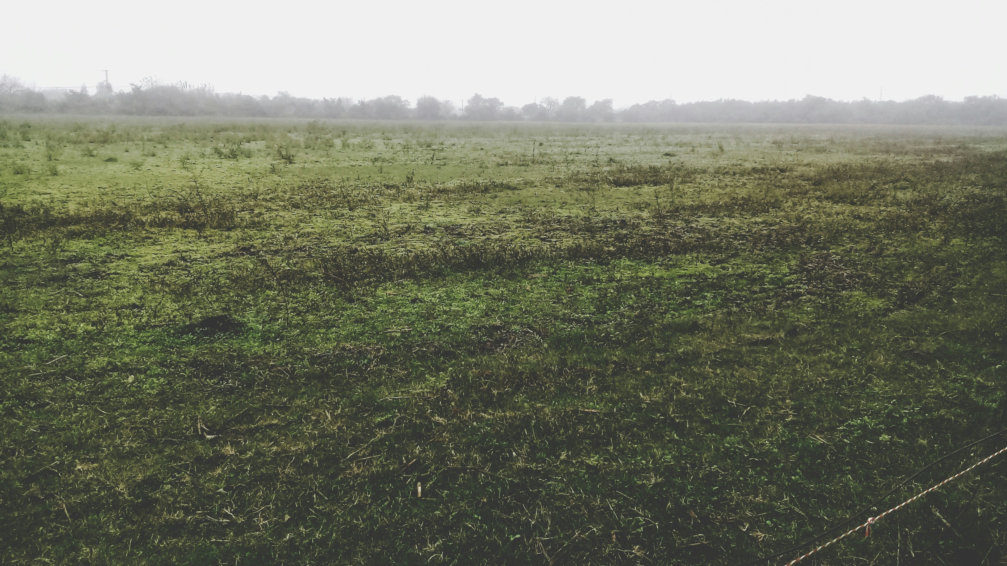 Photo by lucasvphotos