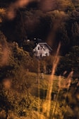 A charming countryside house nestled among dense, lush greenery at the edge of a forest. The foreground is blurred with tall grass, creating a soft focus effect that adds to the serene and intimate atmosphere.