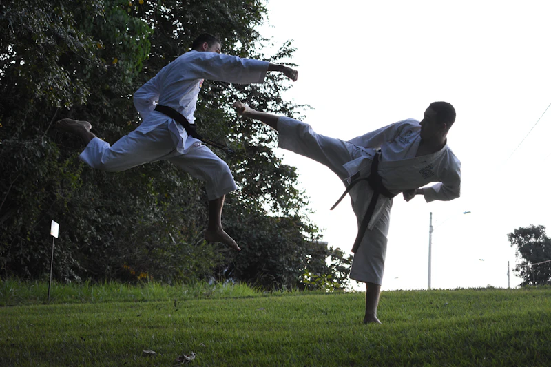 Practitioners training together in a park