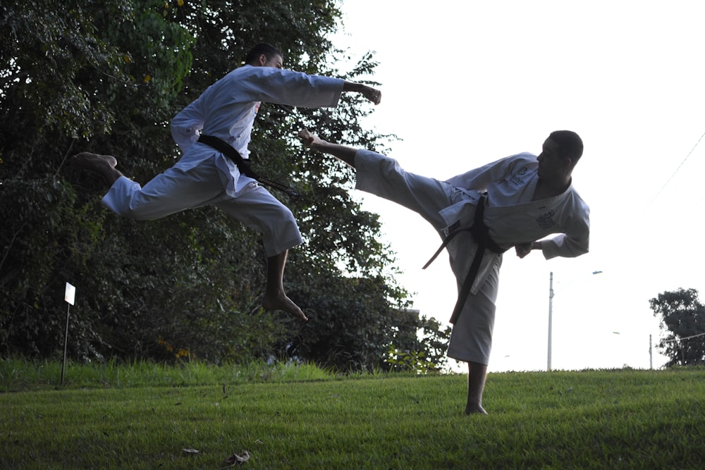 men doing karate in park