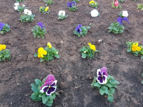 Children planting flowers in a small garden bed surrounded by honeycomb-shaped planters.