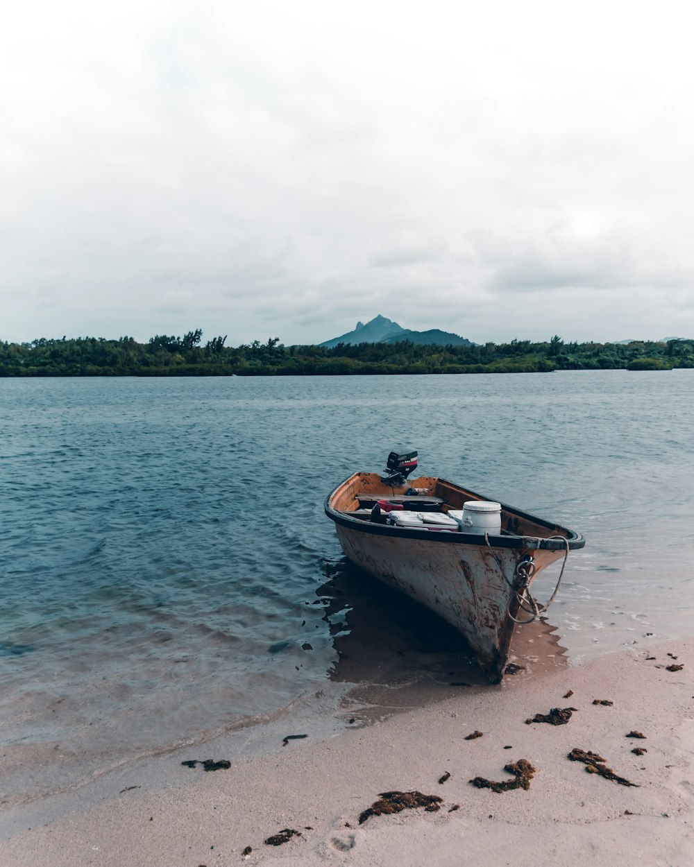 white and brown boat on seashore