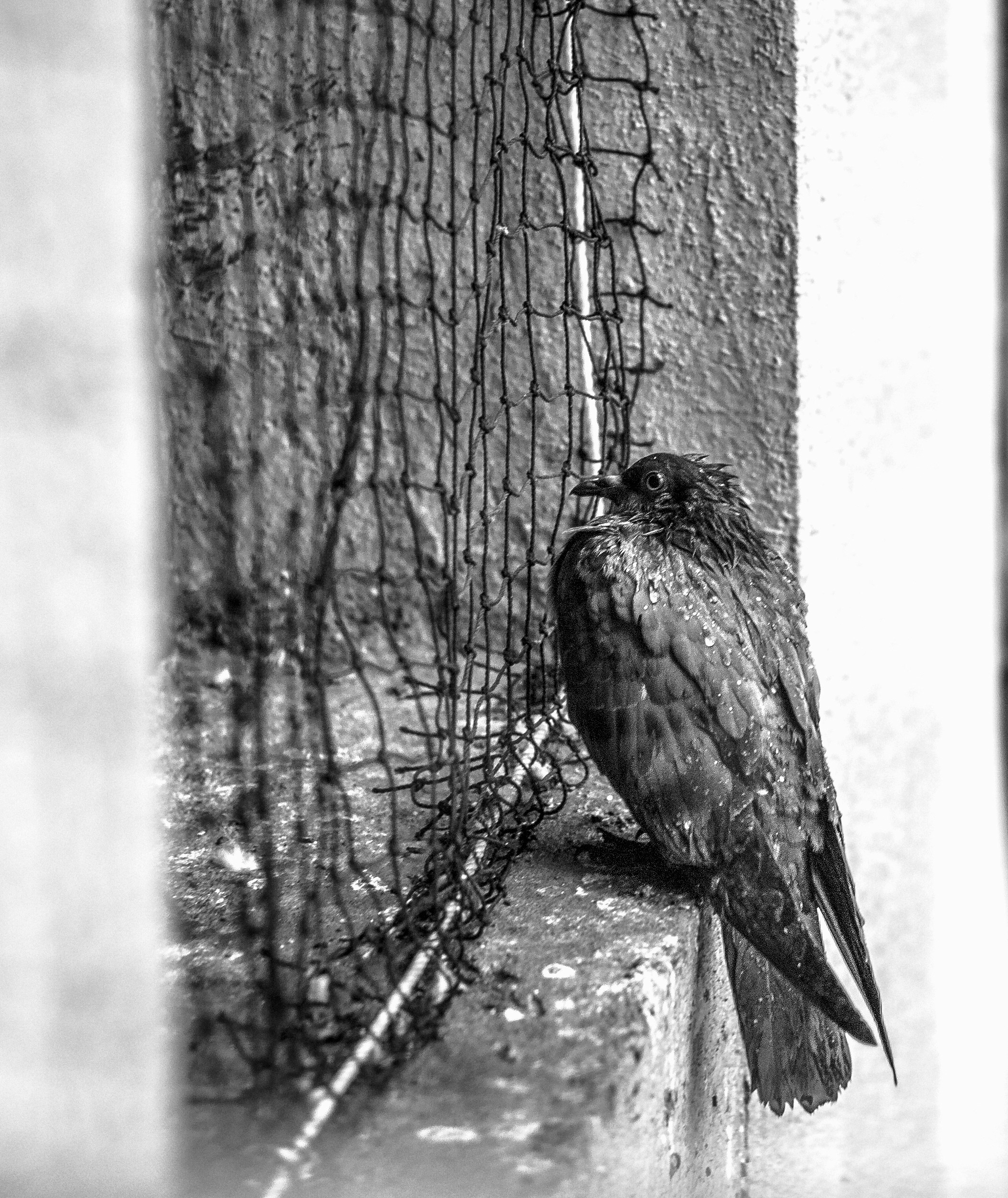 Photo by sid_balachandran