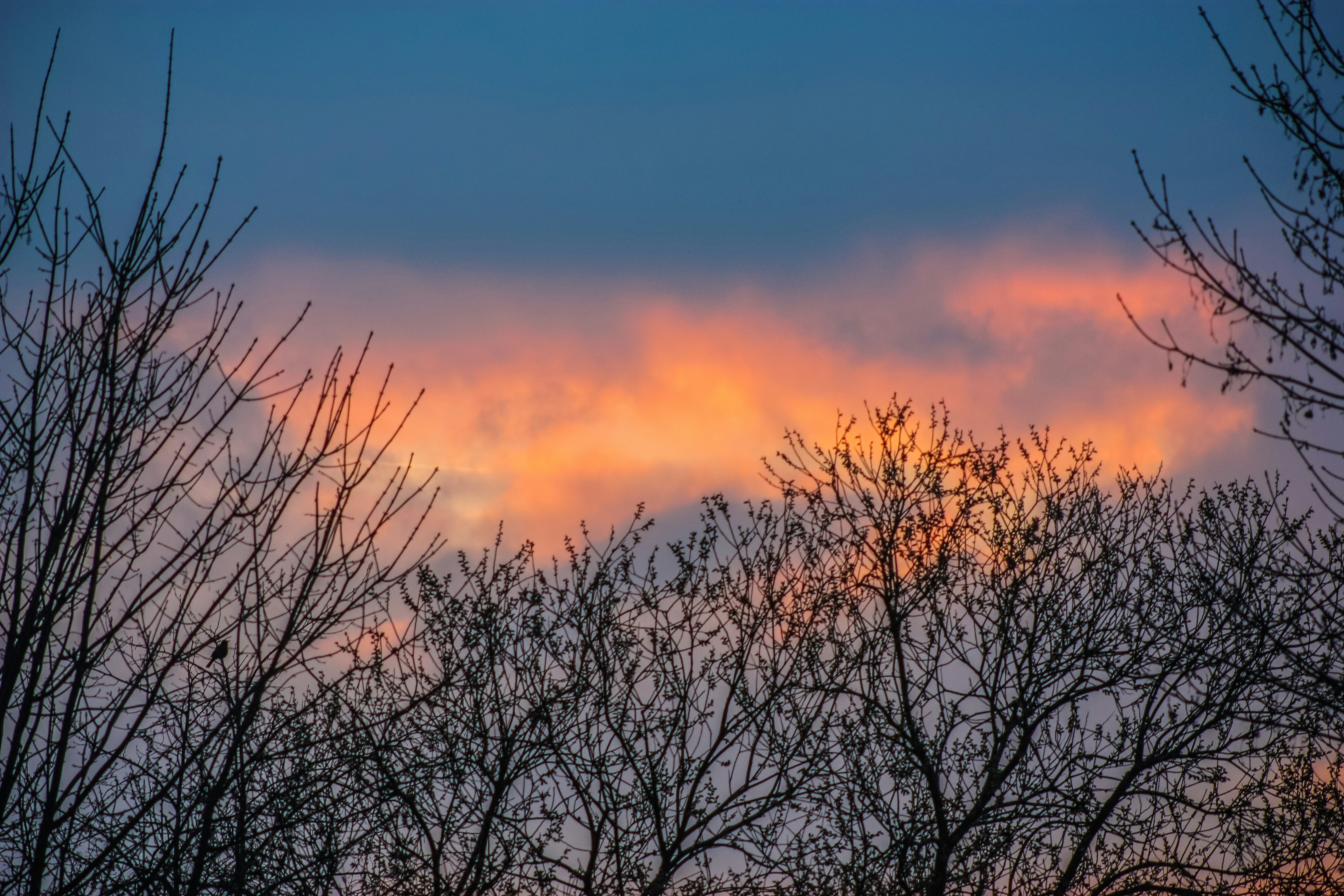 Photo by sid_balachandran