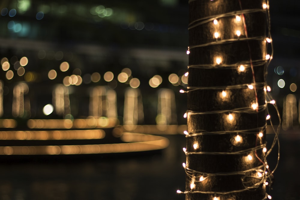 Diwali Light Pictures | Download Free Images on Unsplash