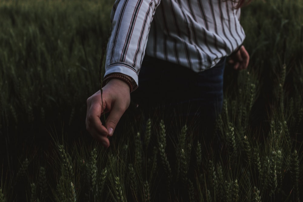 person touching grasses