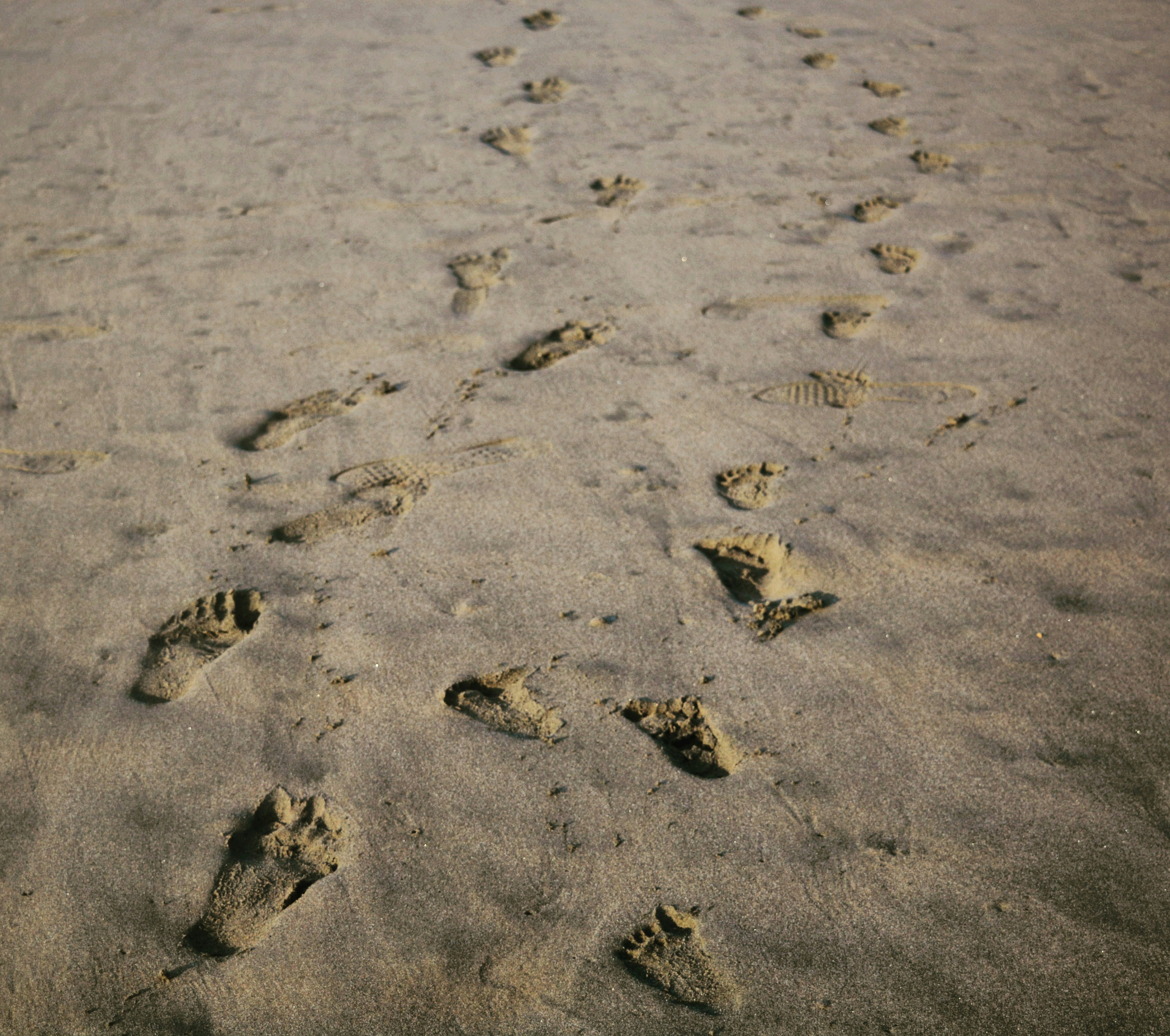 Photo by thedropscienceshots