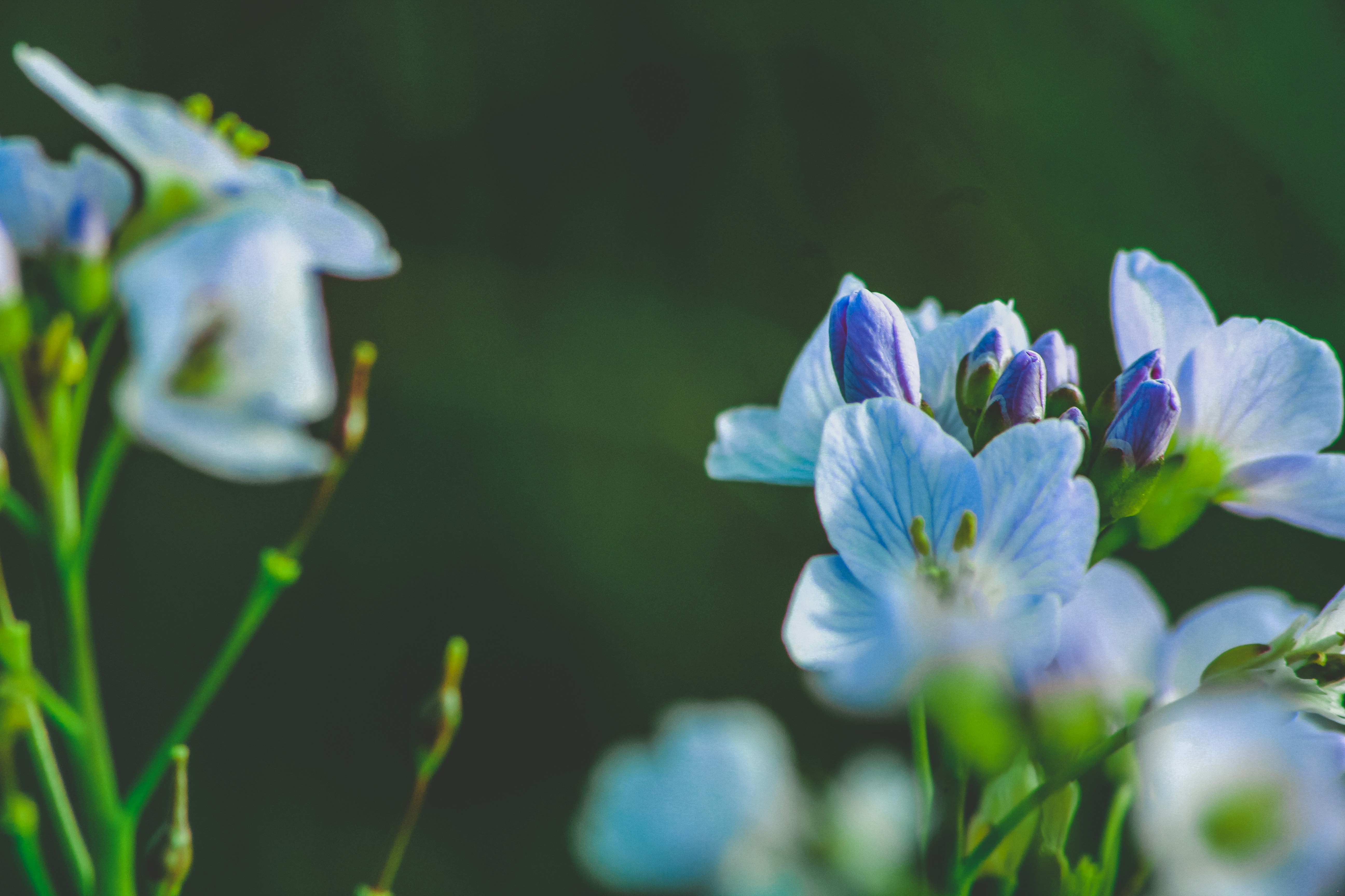 Photo by lokisprints