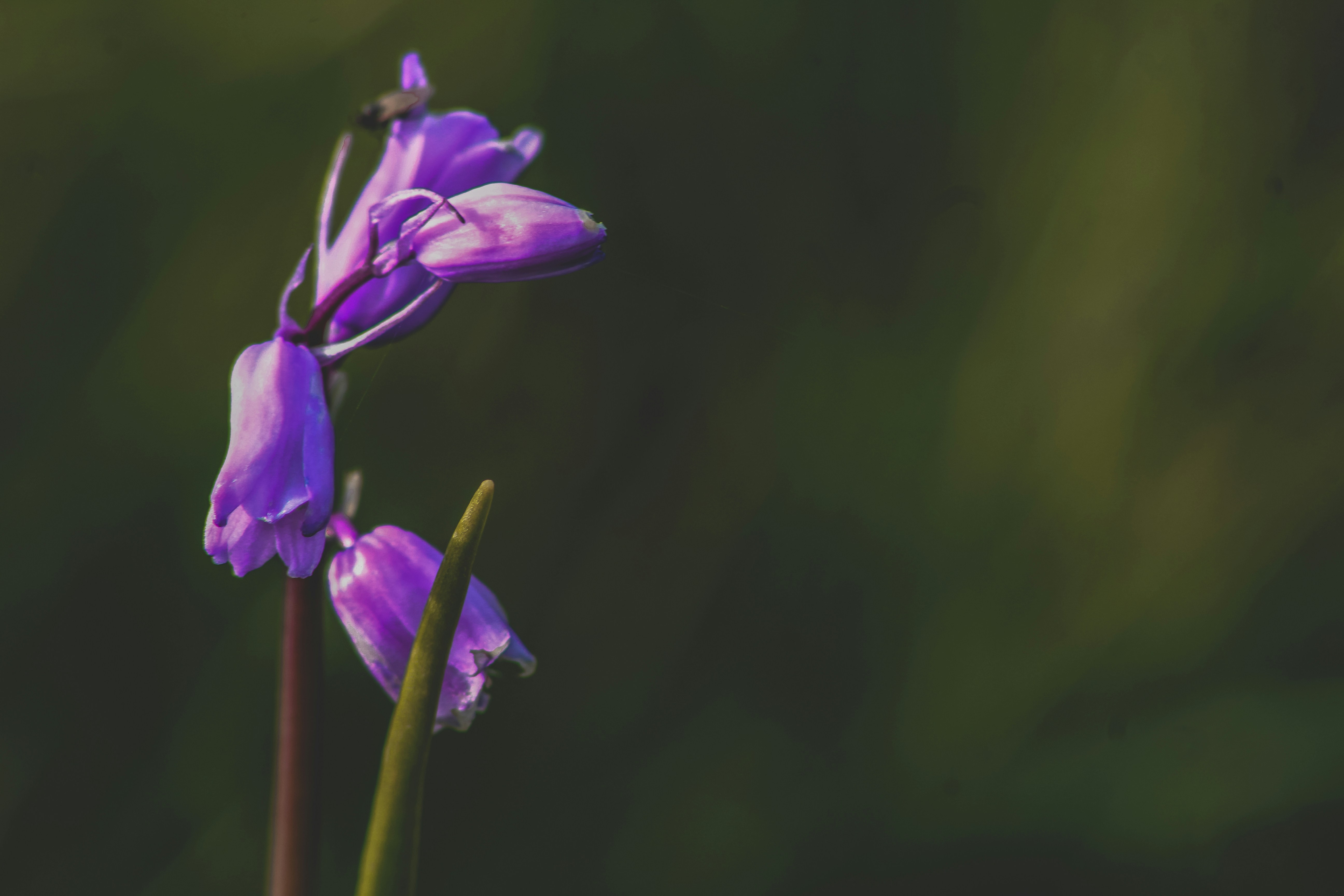 Photo by lokisprints