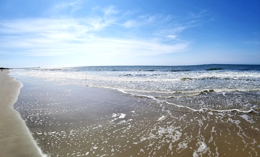 日中の海岸線と水域