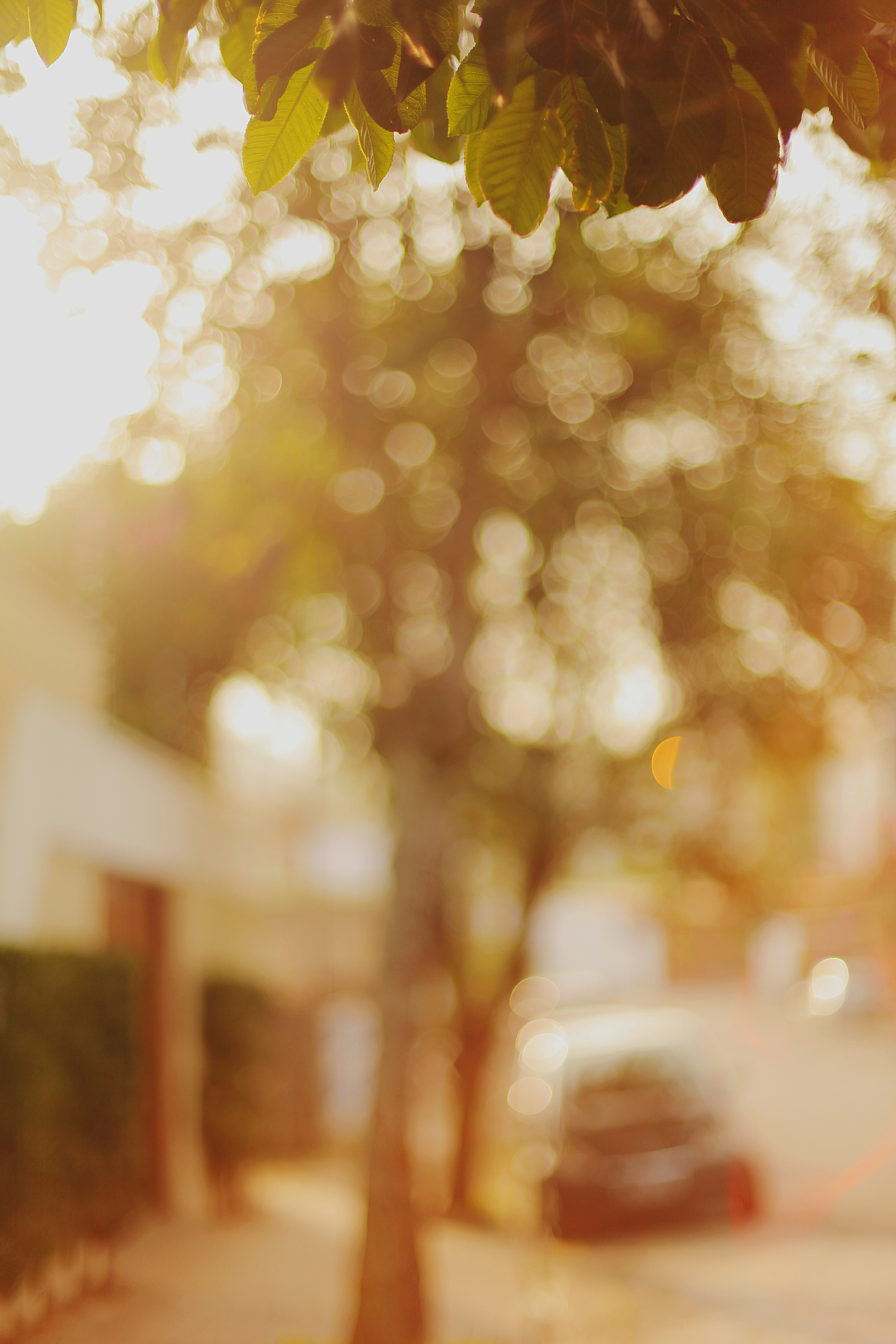 Photo by silvana_carlos