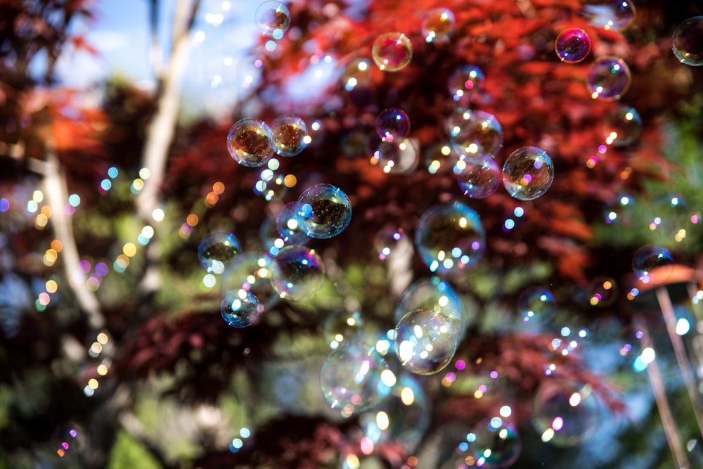 a bunch of bubbles that are floating in the air