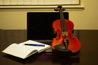 learn violin online, private violin tutor, violin teacher, advanced violin lessons