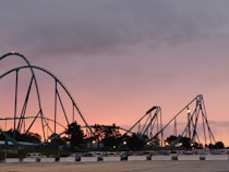 parked car lot beside roller coaster during golden hour