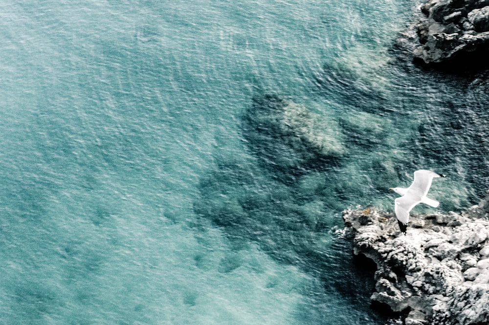 gray rock formation near body of water