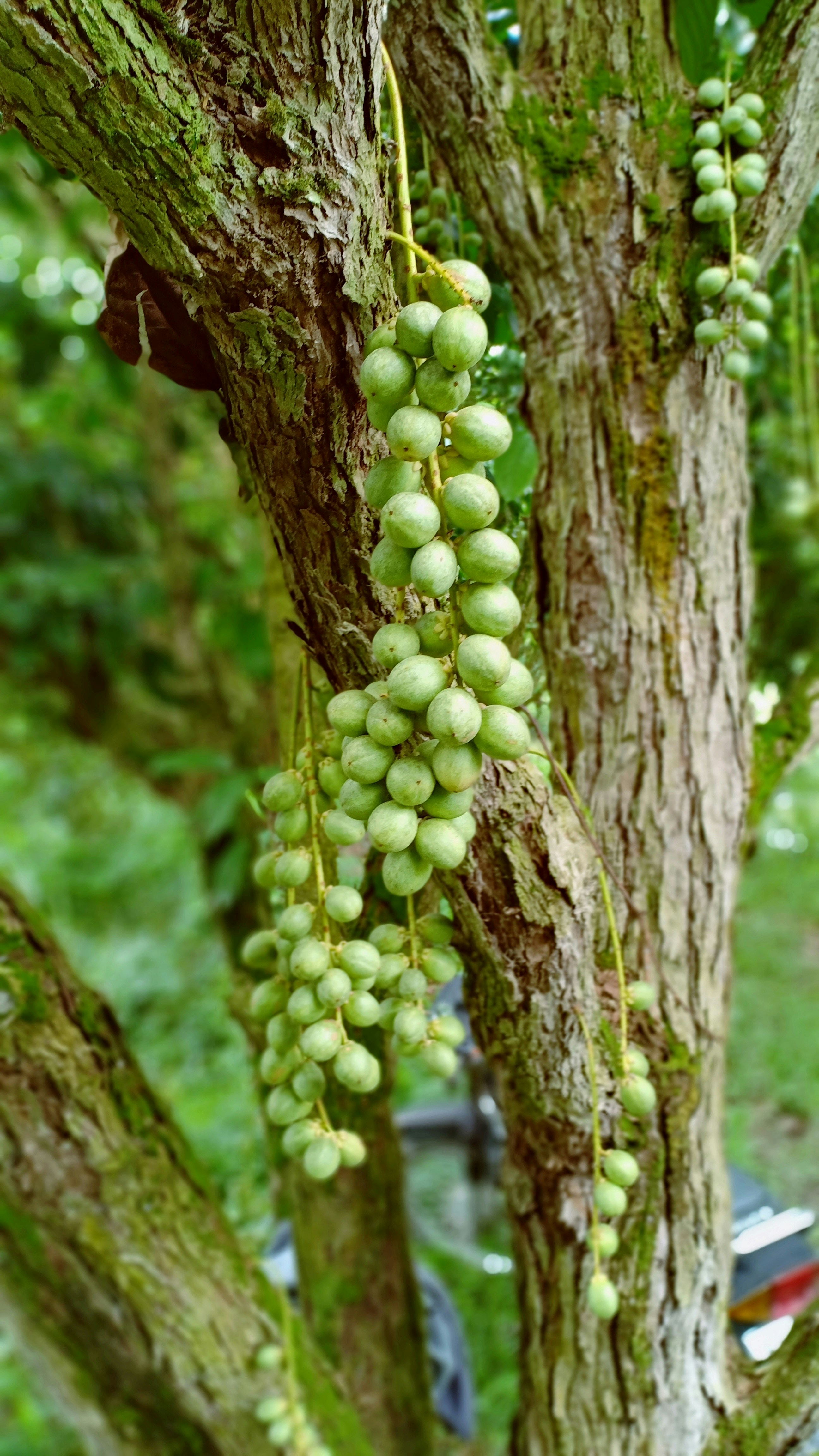 Photo by yeon01050508