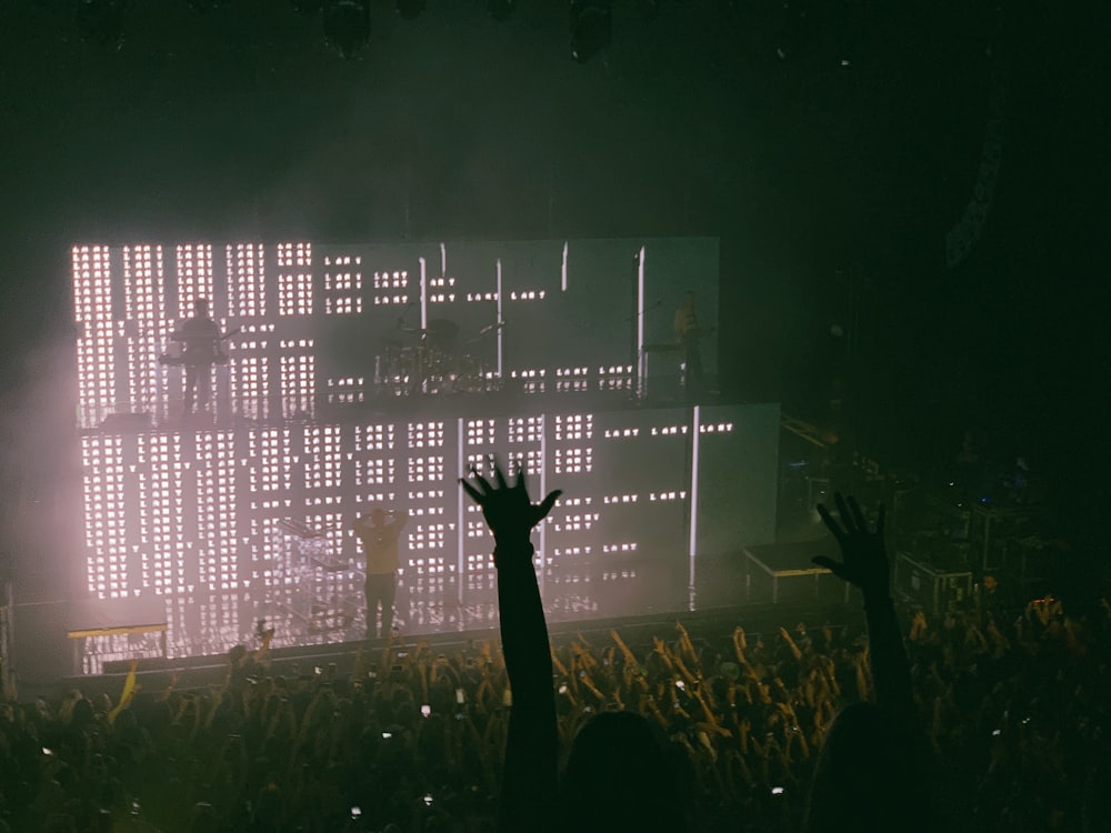 crowd of people in live concert