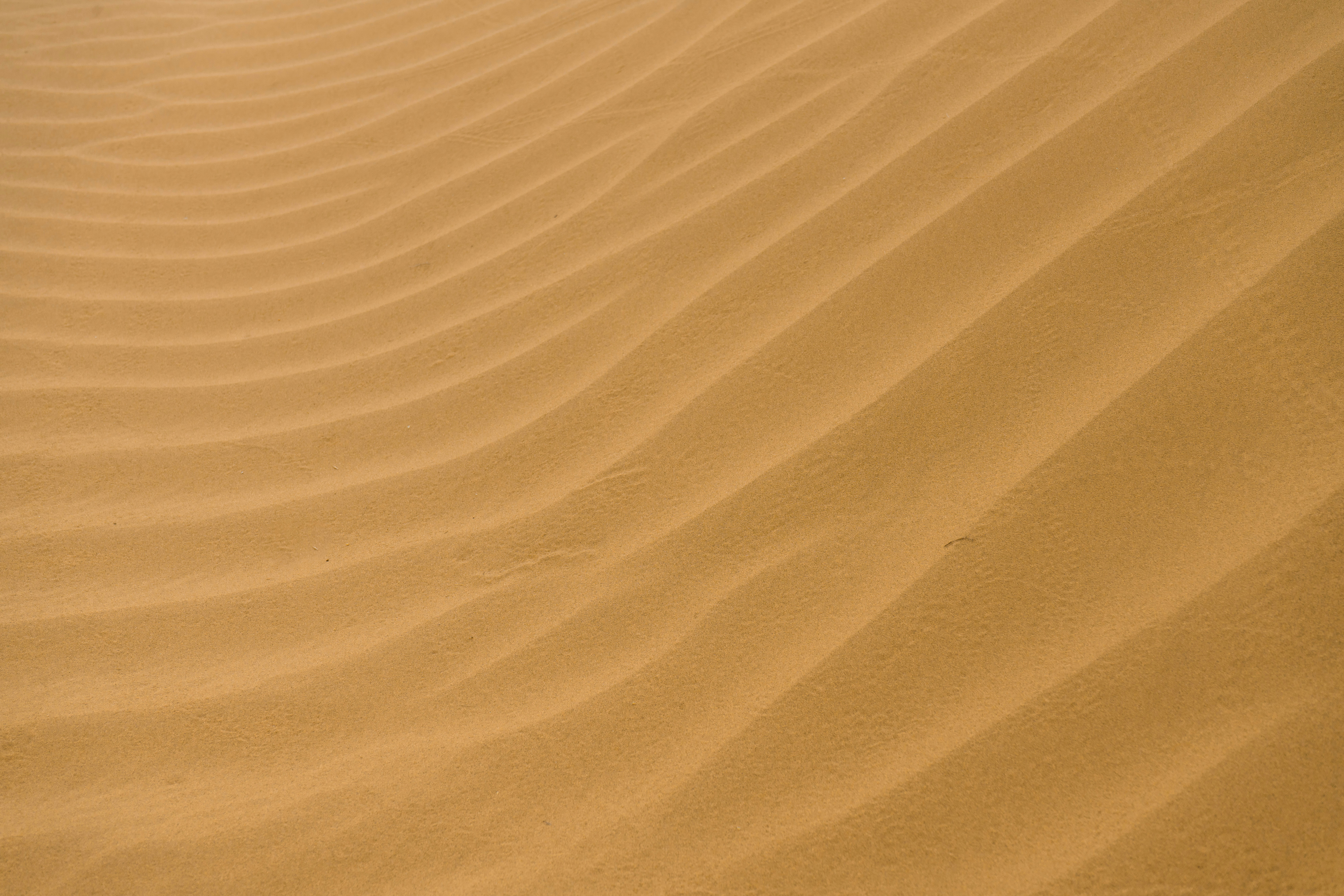 desert during daytime