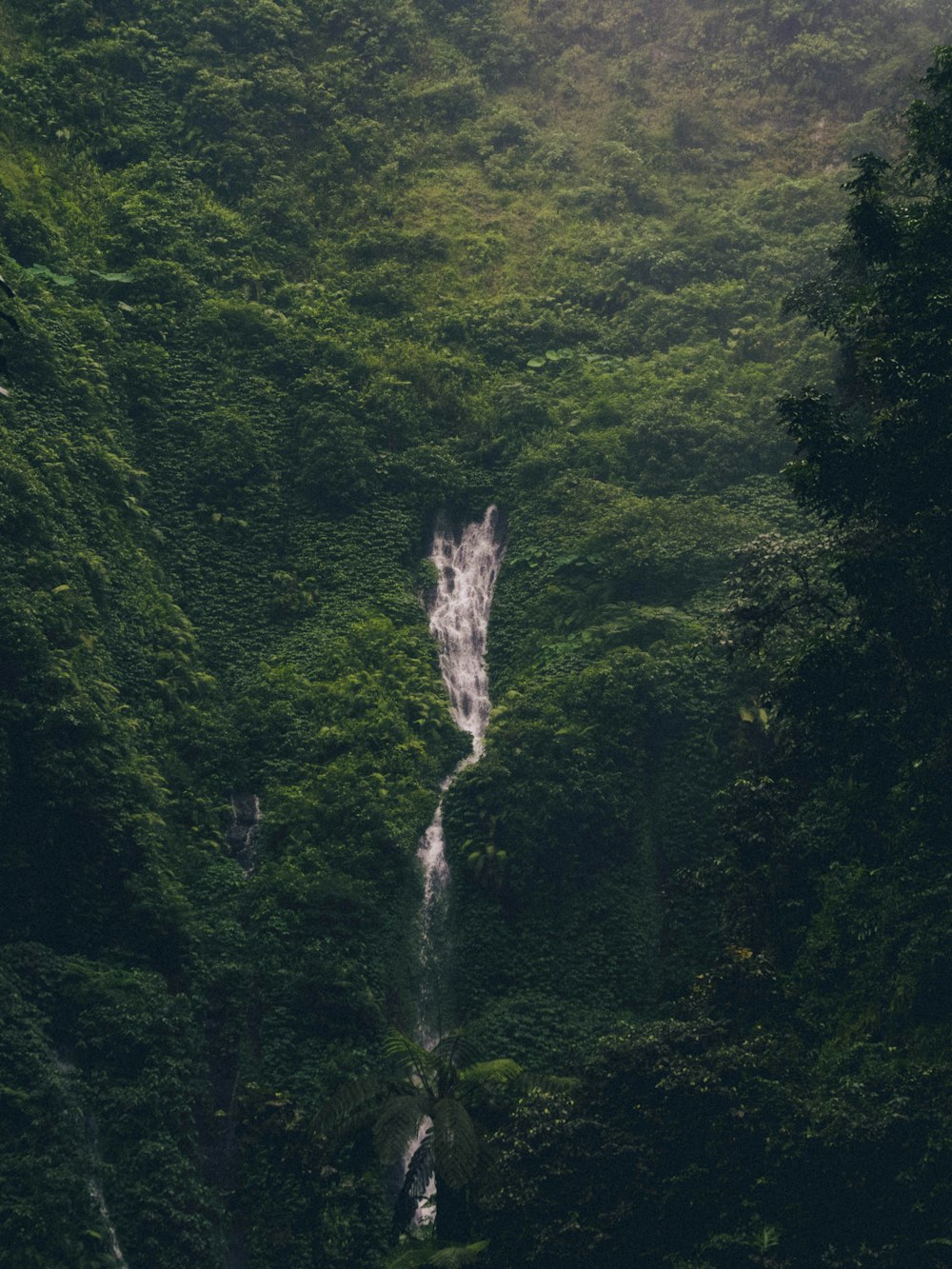 birds eye photography of waterfall