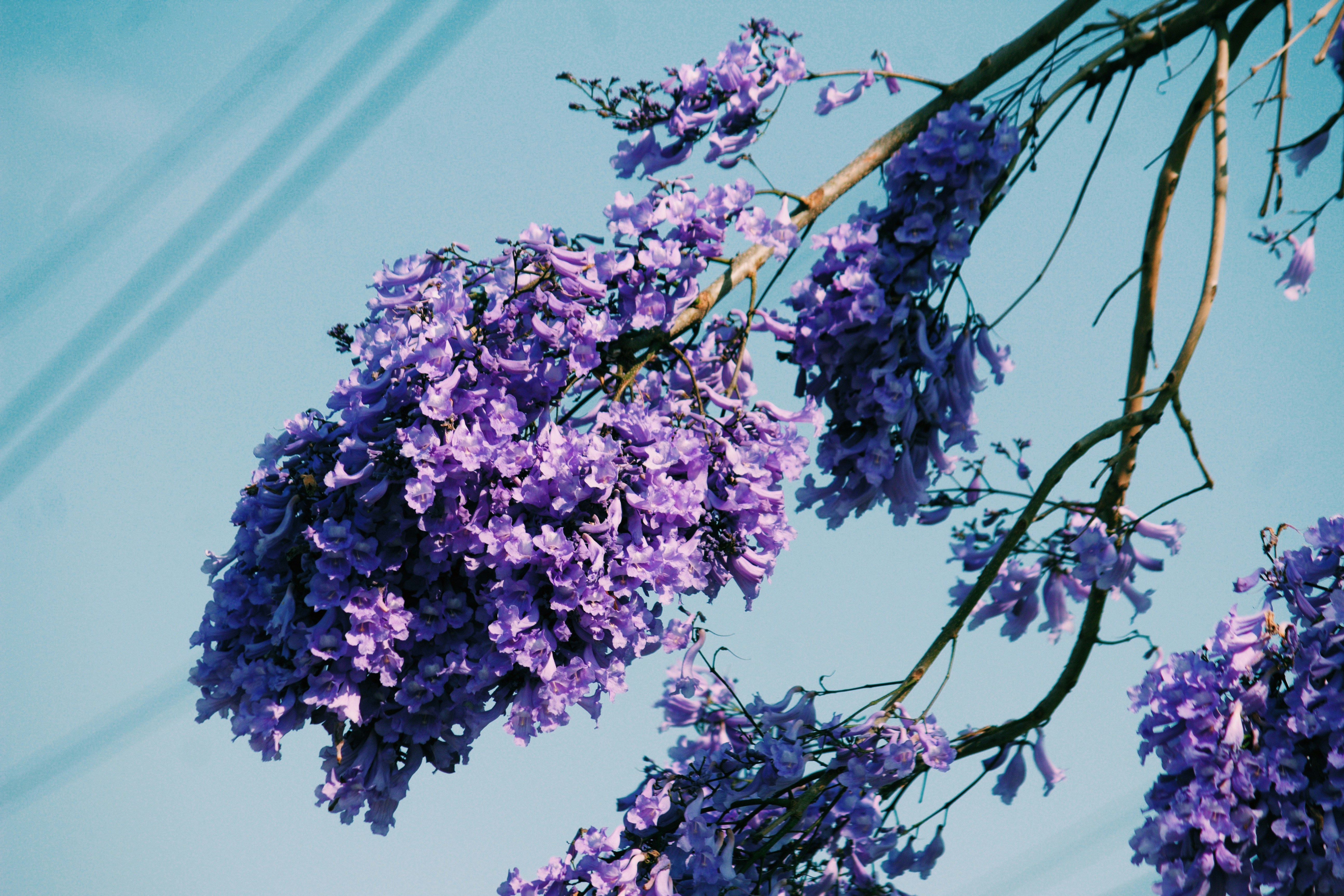 Photo by patterson20