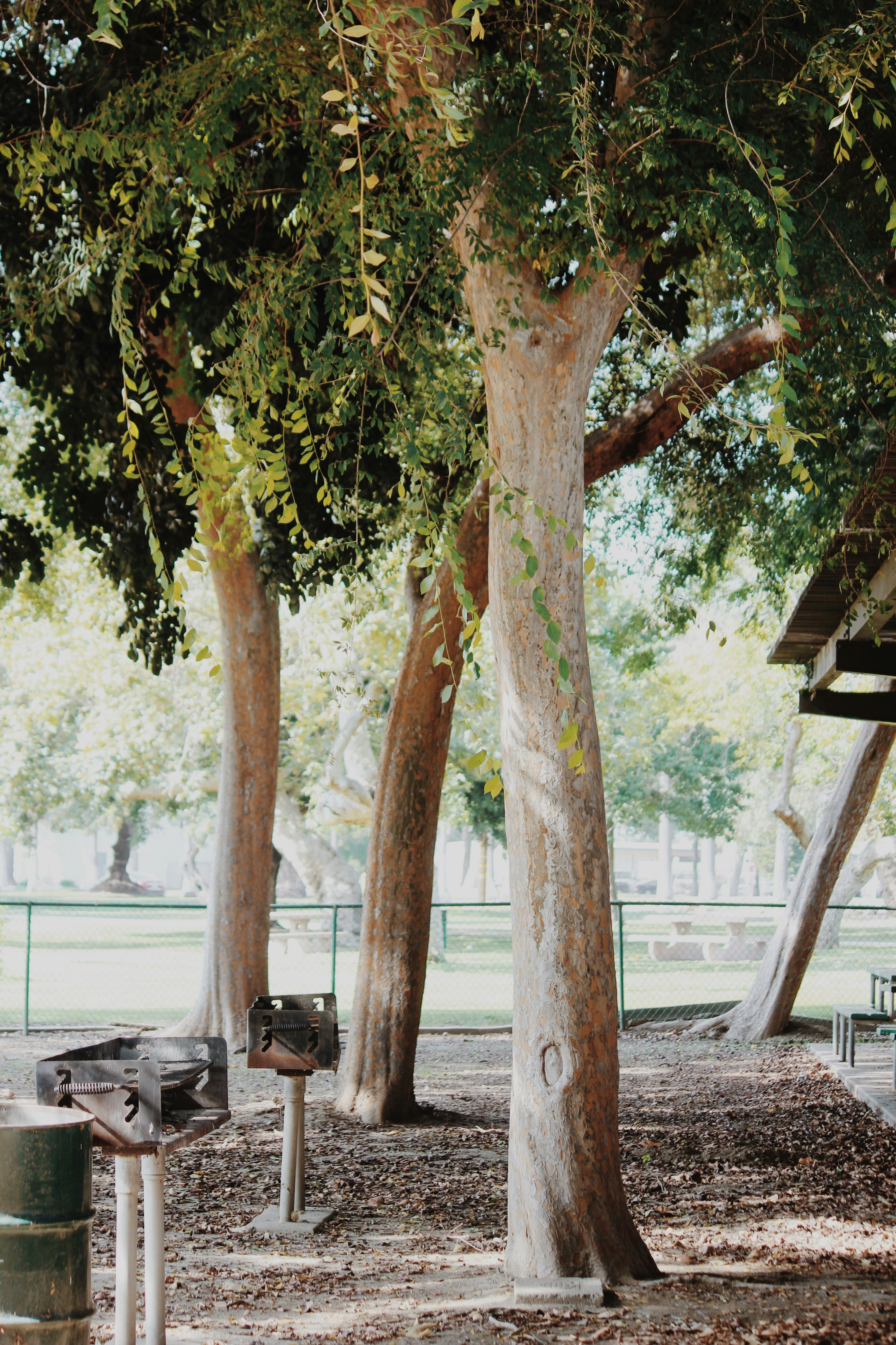 Photo by patterson20