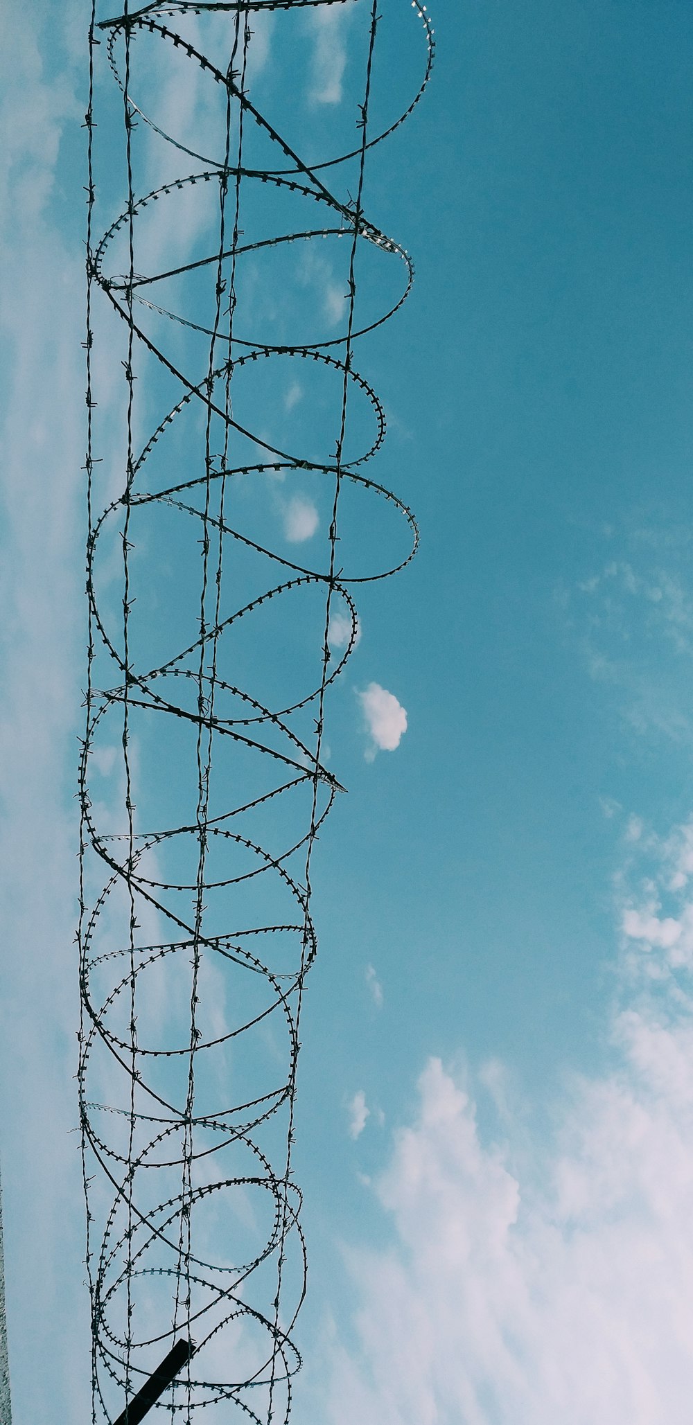 barbed wire photography