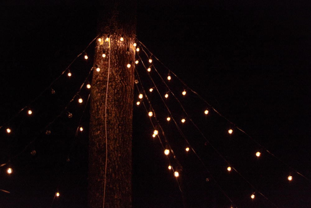 turned-on string lights