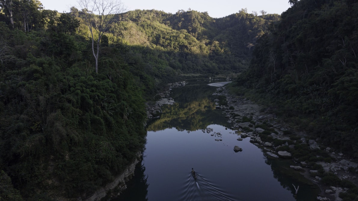 Natural habitat in Mizoram 