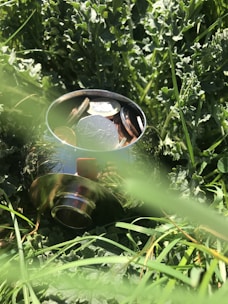 A metallic, reflective bowl is partially buried in a patch of dense green grass. Inside the bowl, there are various coins, including silver and bronze-colored ones, creating a shiny contrast against the natural setting.
