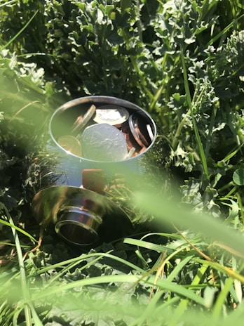 A metallic, reflective bowl is partially buried in a patch of dense green grass. Inside the bowl, there are various coins, including silver and bronze-colored ones, creating a shiny contrast against the natural setting.