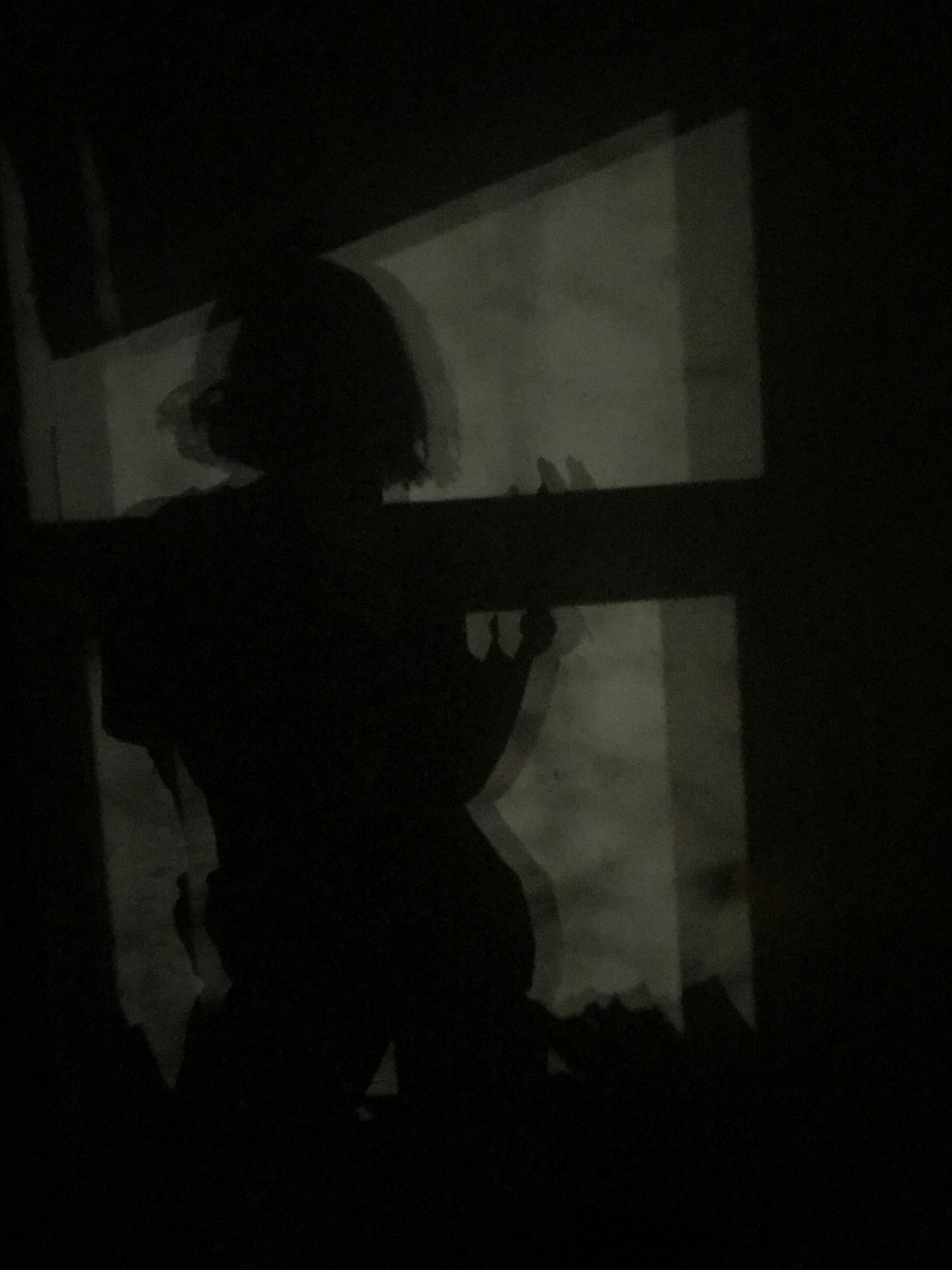silhouette of woman photography