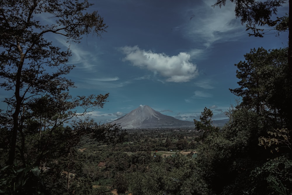 Mount Fuji surrounded with tall and green trees under blue and white skies